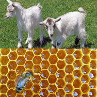 Goats & Bees (unscented) 